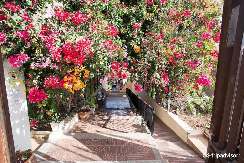 Corralejo Suite Pool & Gardens - Alisios Playa Exterior photo
