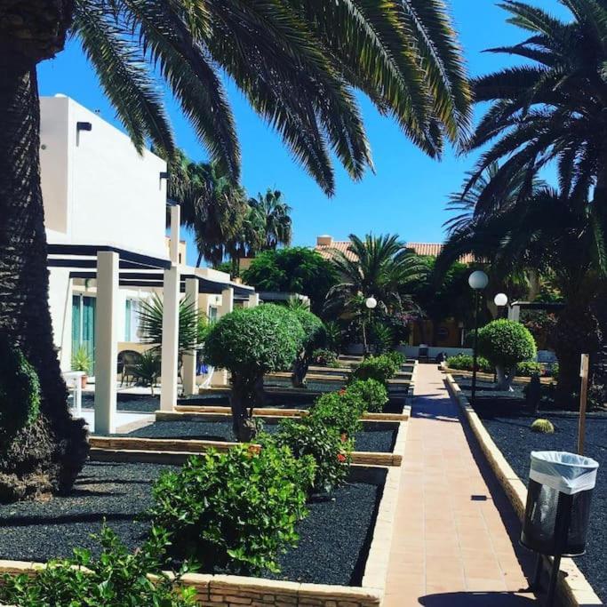 Corralejo Suite Pool & Gardens - Alisios Playa Exterior photo